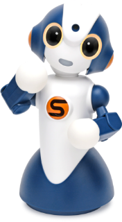 ネイビーSota